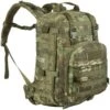 Wisport Whistler 35 II Rucksack Kryptek Mandrake